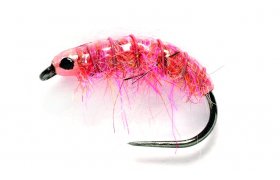 Dirty Pink Shrimp Dirty Pink Shrimp, Size 14