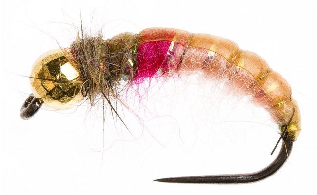 Disco Czech Nymph Dark Pink Disco Czech Nymph Dark Pink, Size 10