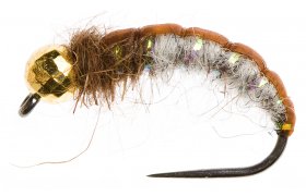 Disco Czech Nymph Hydropsyche Disco Czech Nymph Hydropsyche, Size 10