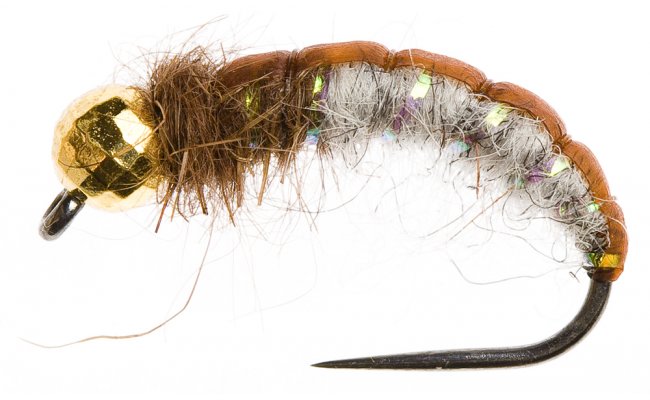 Disco Czech Nymph Hydropsyche Disco Czech Nymph Hydropsyche, Size 10