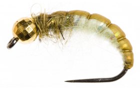 Disco Czech Nymph Ryacophila Disco Czech Nymph Ryacophila, Size 10