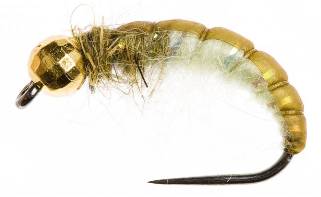 Disco Czech Nymph Ryacophila Disco Czech Nymph Ryacophila, Size 10