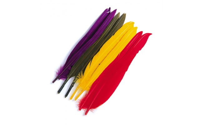 Duck Quills Veniard Duck Quills Veniard Bleached White