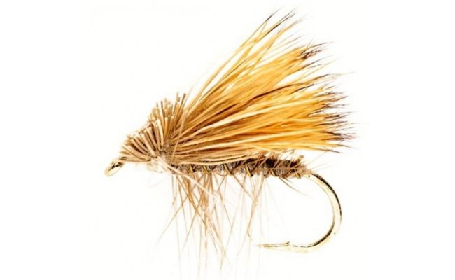 Elk Wing Caddis Grey Elk Wing Caddis Grey, Size 10