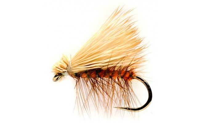 Elk Wing Caddis Orange Elk Wing Caddis Orange, Size 10