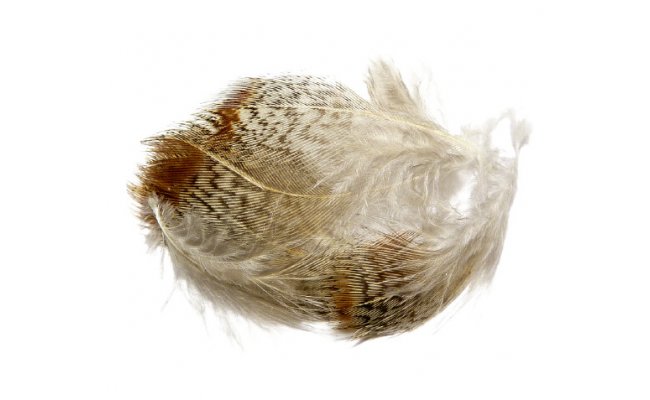 English Partridge Tommi-Fly Saddle Plumage English Partridge Tommi-Fly Saddle Plumage