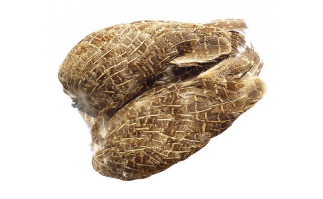 English Partridge Tommi-Fly Whole Wings English Partridge Tommi-Fly Whole Wings