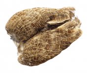 English Partridge Tommi-Fly Whole Wings