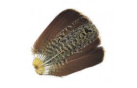 English Partridge Veniard Complete Tail English Partridge Veniard Complete Tail