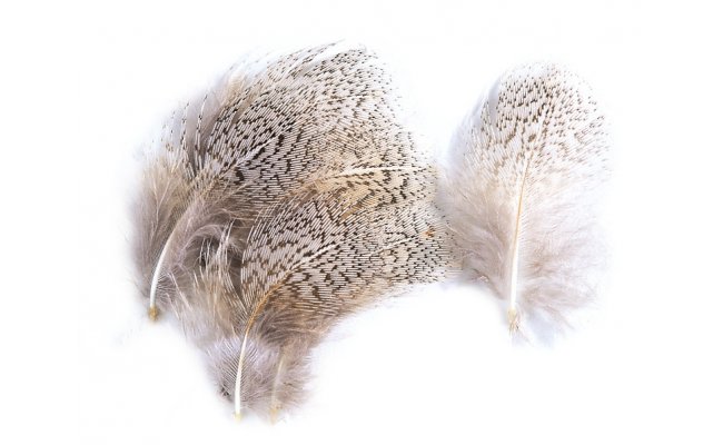 English Partridge Veniard Grey Flank Hackles English Partridge Veniard Grey Flank Hackles