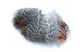 English Partridge Veniard Grey Neck Hackles English Partridge Veniard Grey Neck Hackles Natural