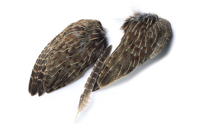 English Partridge Veniard Whole Wings English Partridge Veniard Whole Wings