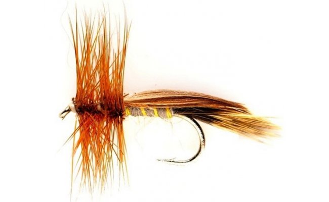 Europa Caddis Europa Caddis, Size 8