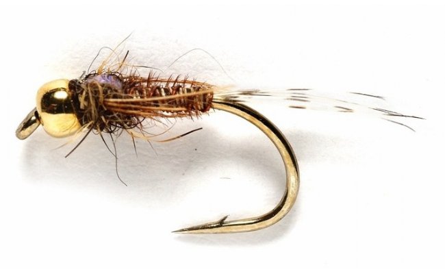 F/Back Pheasant Tail F/Back Pheasant Tail, Size 12