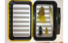 Flies in the box for Stillwater & Streamer Starter Pack Flies in the box for Stillwater & Streamer Starter Pack