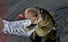 Fly Fishing Gloves Buff Original Angler Pro-Series - In Action