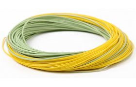 Fly Line Floating Leichi Real Gold Fly Line Floating Leichi Real Gold WF #2