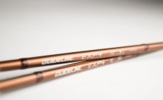 Guideline EXP4 Detail