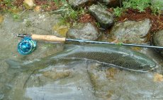 Fly Rod Alpen Nymph 4 in 1 - pictures from testing