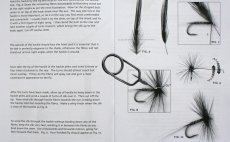 Cock hackles preview