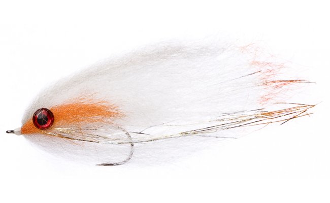 FM Fry Roach FM Fry Roach, Size 4/0