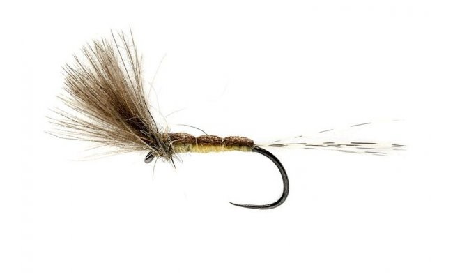 Foam Dun Foam Dun, Size 15