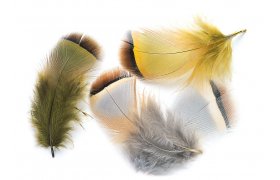 French Partridge Veniard Mixed Hackles French Partridge Veniard Mixed Hackles Natural