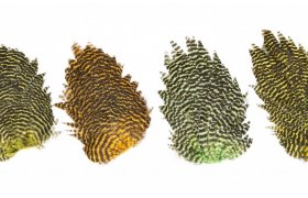 Genetic Hen Saddles Veniard Genetic Hen Saddles Veniard White