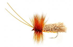 Goddard Sedge Amber Goddard Sedge Amber, Size 8