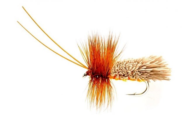 Goddard Sedge Amber Goddard Sedge Amber, Size 8