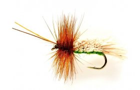 Goddard Sedge Green Goddard Sedge Green, Size 8