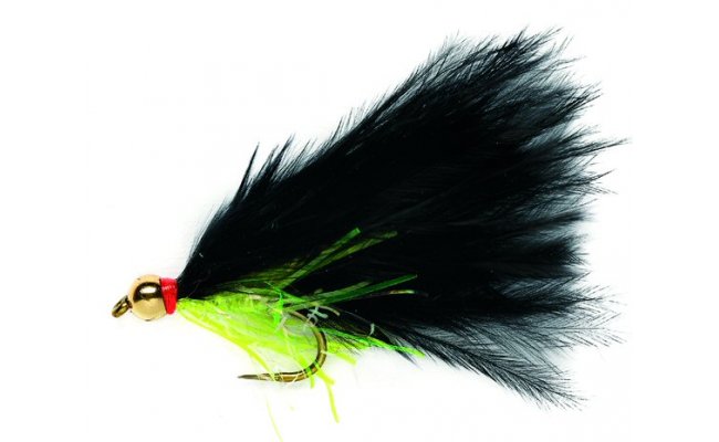 Gold Head Black Cat B/L Gold Head Black Cat B/L, Size 10