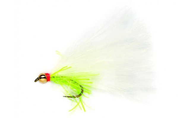 Gold Head Cats Whisker B/L Golden Bullet Cats Whisker B/L, Size 10