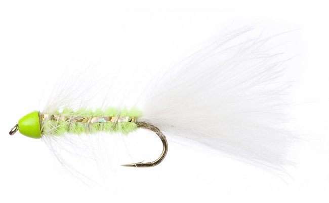 Golden Bullet Green Head Cat Golden Bullet Green Head Cat, Size 10