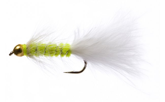 Golden Nugget Cats Whisker Golden Nugget Cats Whisker, Size 10