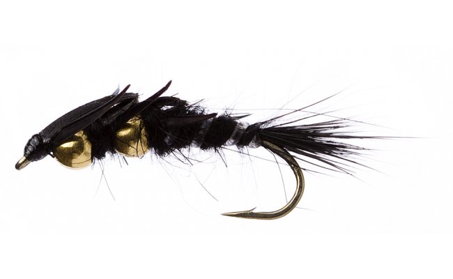 Golden Nugget Creeper Black Golden Nugget Creeper Black, Size 10