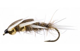 Golden Nugget Creeper Hare's Ear Golden Nugget Creeper Hare's Ear, Size 10