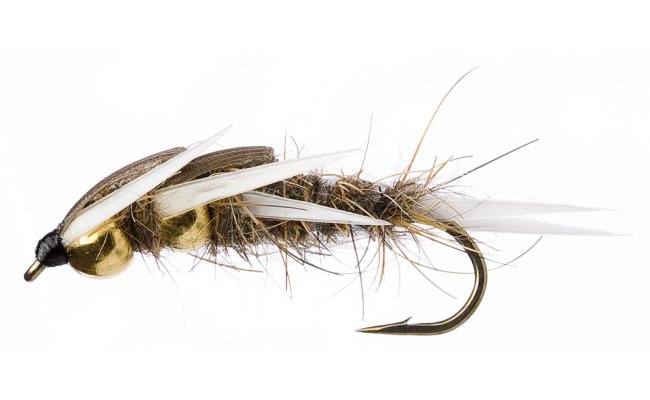 Golden Nugget Creeper Hare's Ear Golden Nugget Creeper Hare's Ear, Size 10