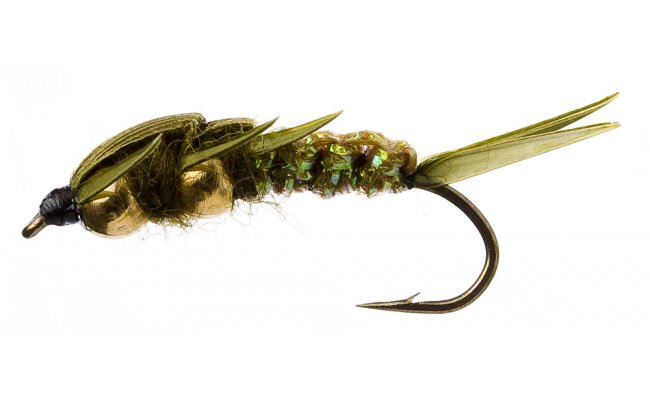 Golden Nugget Creeper Olive  Golden Nugget Creeper Olive, Size 10