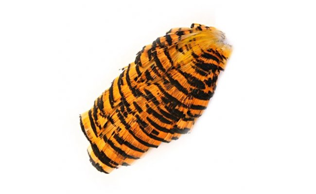 Golden Pheasant Veniard Tippet Collar Golden Pheasant Veniard Tippet Collar No.1