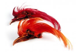 Golden Pheasant Veniard Topping Crest Golden Pheasant Veniard Topping Crest No.1 - Natural