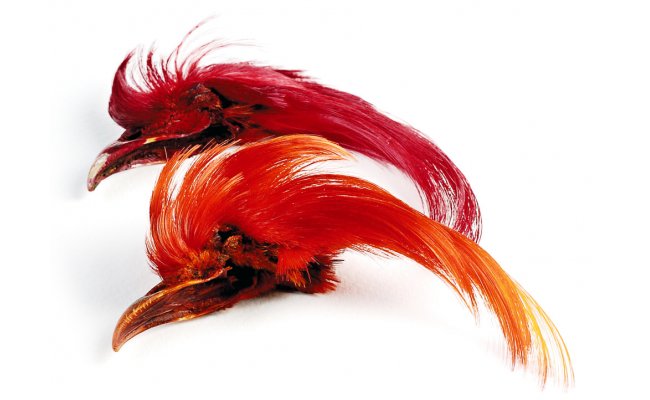 Golden Pheasant Veniard Topping Crest Golden Pheasant Veniard Topping Crest No.1 - Natural