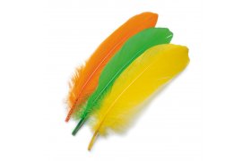 Goose Shoulder Stiffs Feathers Veniard Goose Shoulder Stiffs Feathers Veniard Bleached White