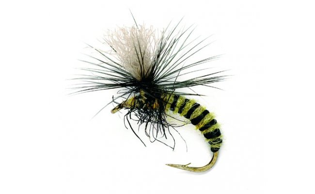 Grannom Pupa Para Emerger Grannom Pupa Para Emerger, Size 14
