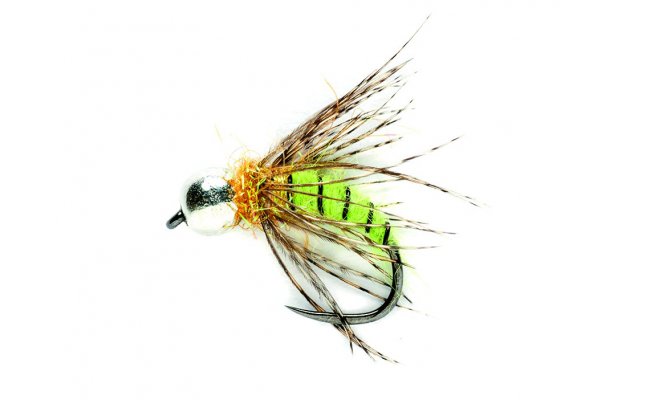 Grannom Pupa Grannom Pupa, Size 12