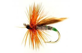 Grannom Sedge Grannom Sedge, Size 14