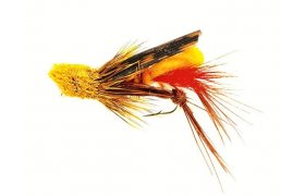 Grasshopper Grasshopper, Size 10