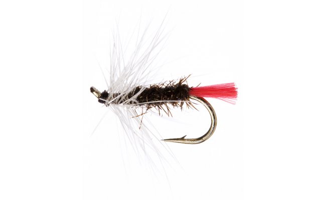 Grayling Witch Grayling Witch, Size 16