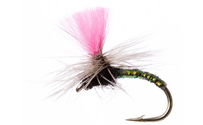 Greased Lightning Pink Greased Lightning Pink, Size 16