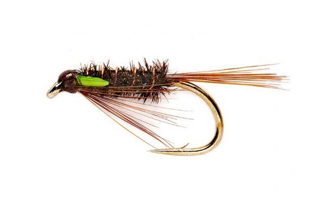 Green Cheeked Diawl Bach Green Cheeked Diawl Bach, Size 10